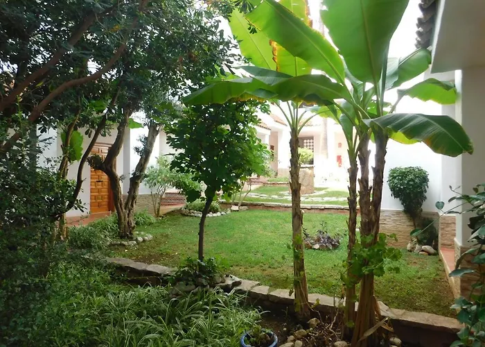 Patio 1 아파트 Peñíscola